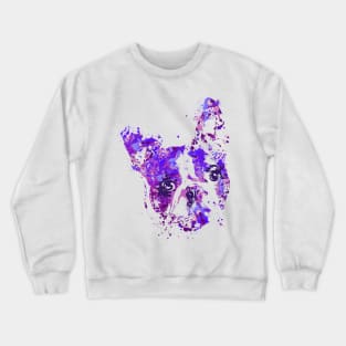 Boston Terrier Crewneck Sweatshirt